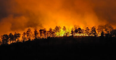 Aircraft on Ground (AOG) services needed to fight wildfires