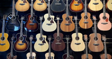 Acoustic guitars displayed on a wall